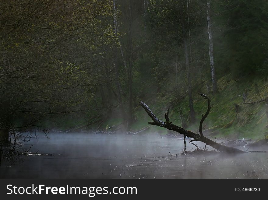 Bough In The Water Stream