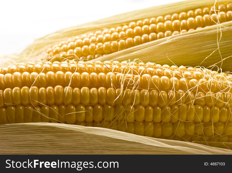 Vegetable series: macro picture of golden corn