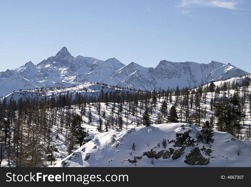 Alpine Mountains With Pine Trees