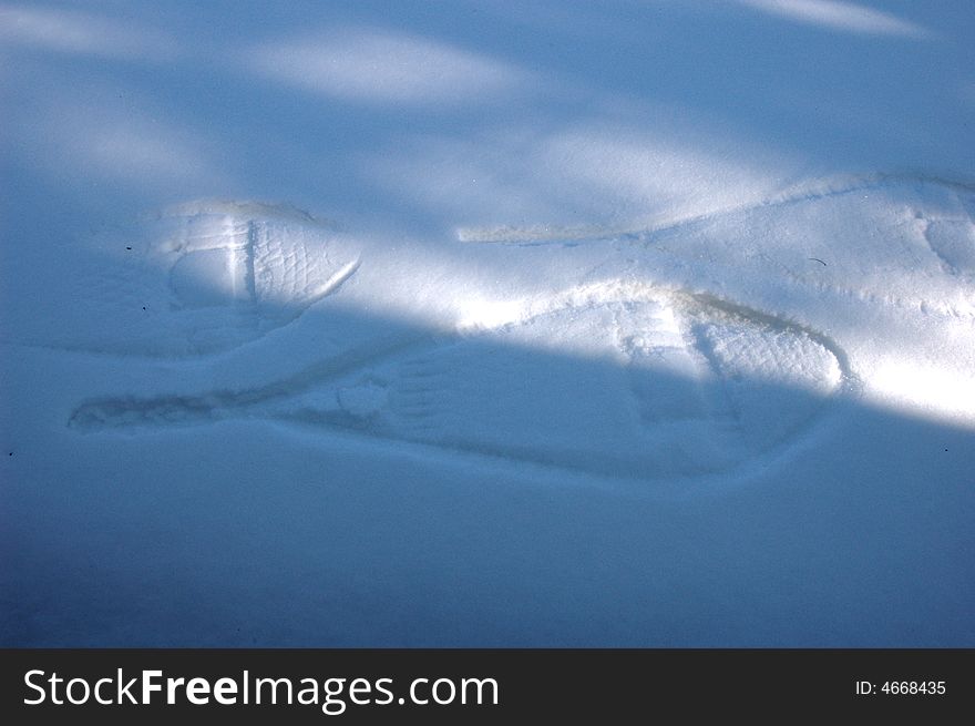 Babiche snowshoe traces on snow