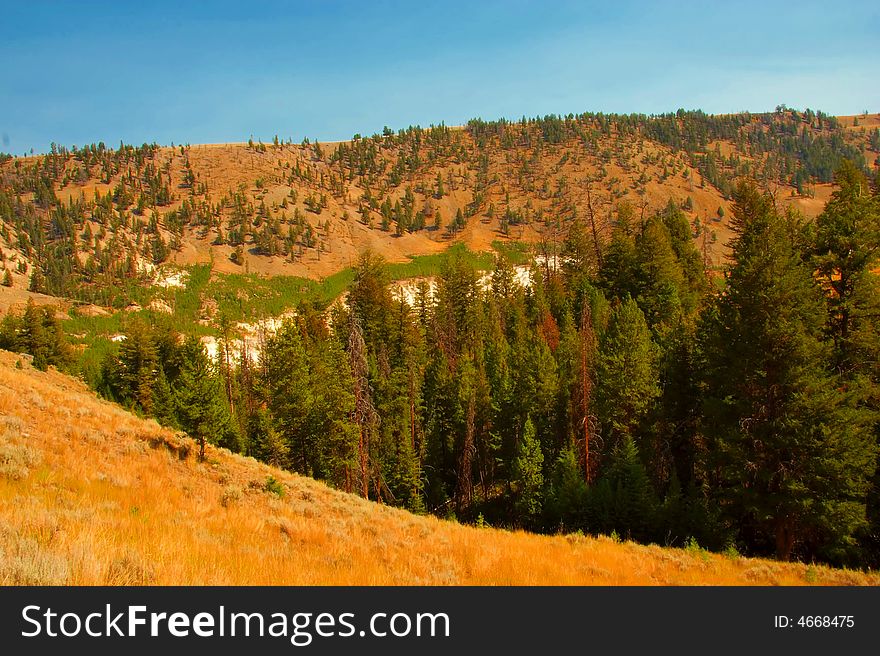 Lovely valley in Yellowstone Park.