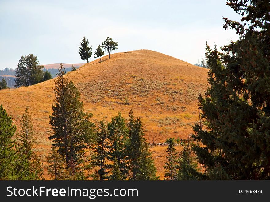 A hill located in a secluded area of Yellowstone Park.