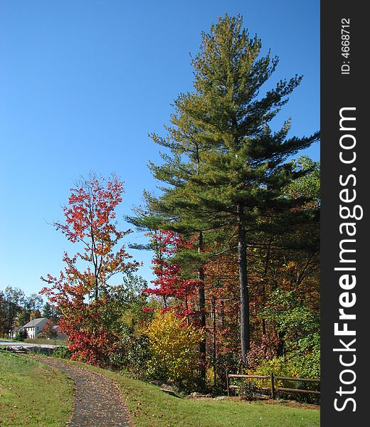 Nature of Ayer (Massachusetts) in autumn.