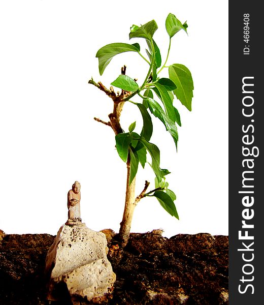 Photo is macro detail of a little tree ( Bonsai ). Statuette of monk which stay on rock is main detail of shot. Photo is macro detail of a little tree ( Bonsai ). Statuette of monk which stay on rock is main detail of shot.