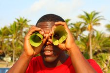 Looking Through Leaves Royalty Free Stock Photo Looking Through Leaves Royalty Free Stock Photo