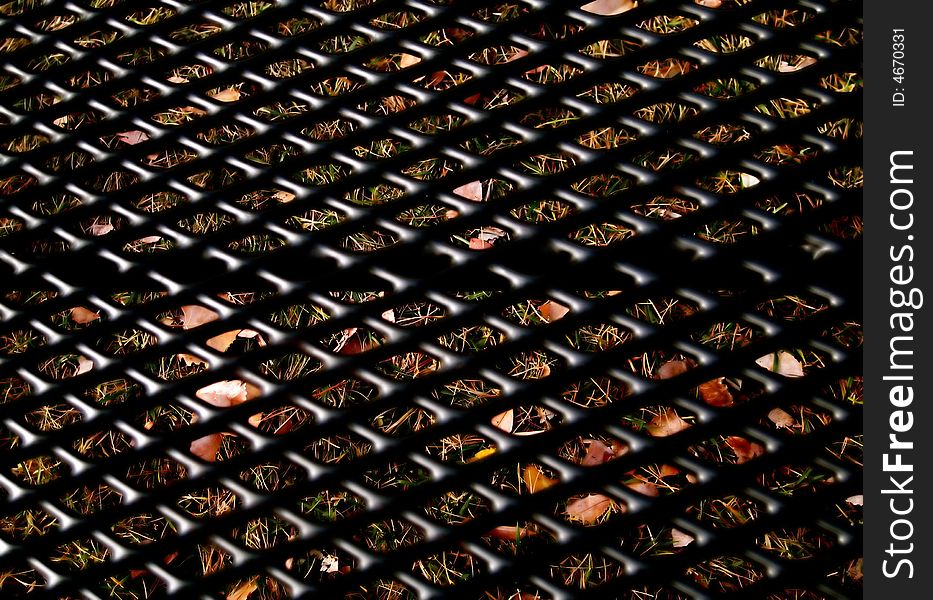 Park Bench Abstract with Grass and Leaves captured from a close-in shot on of a metal like park bench so that the metal frames the details of the leaves and blades of grass.