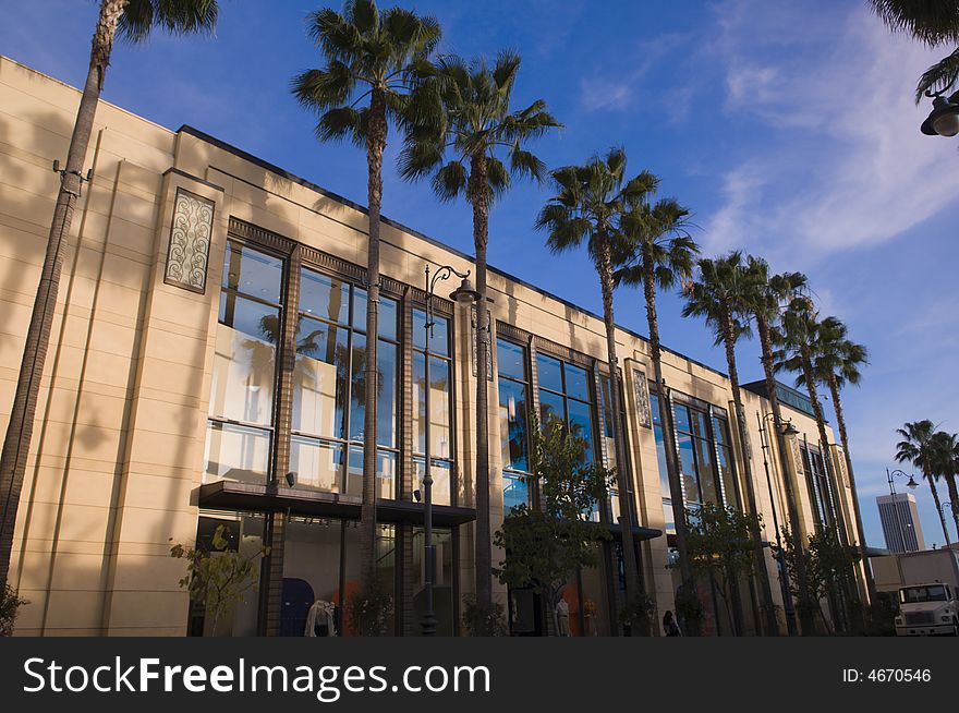 Palm lined street next to a building in Los Angeles CA. Palm lined street next to a building in Los Angeles CA