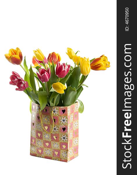 Colorfull tulips in bag isolated
