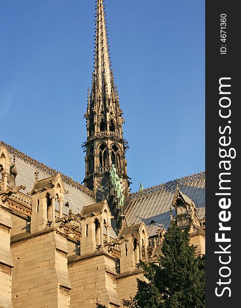 Notre Dame Cathedral in Paris in spring