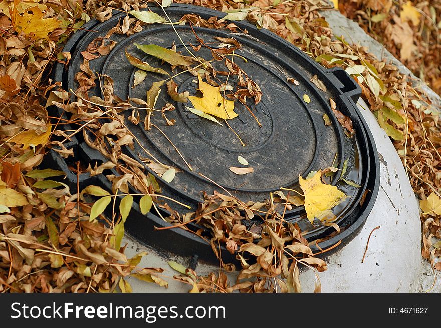Rusty manhole under the autumn leaves