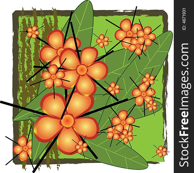 Vector illustration of the flowers, leaves, and bark of the Tembusu tree
