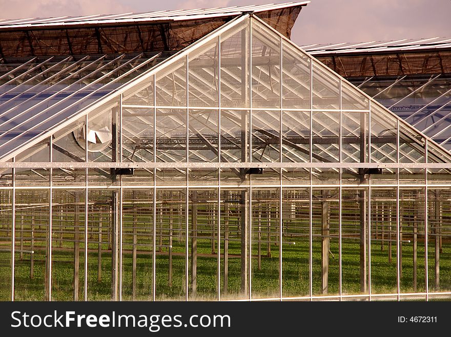 Greenhouse with vertical, horizontal and diagonal lines