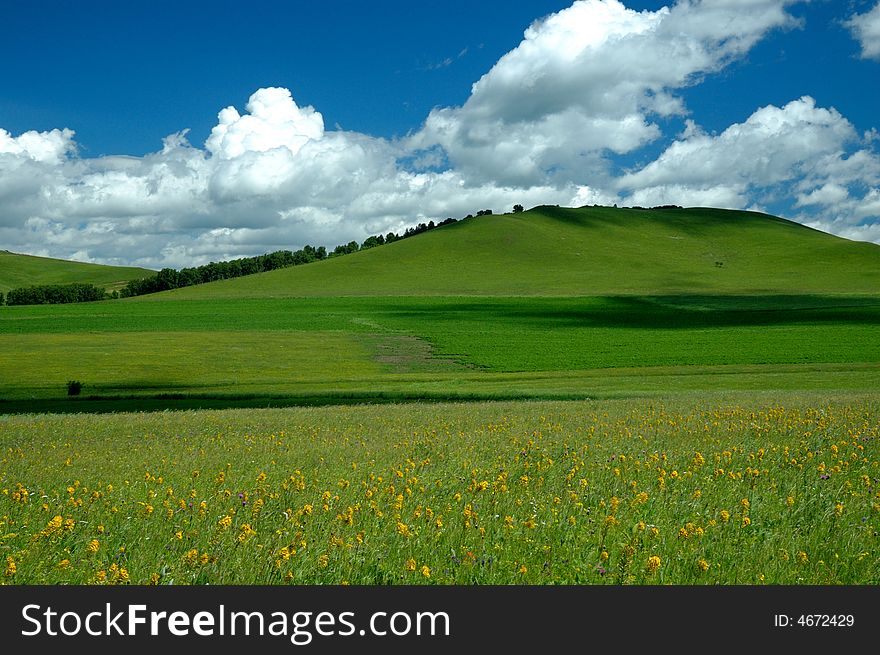 Scenic grassland in summer with clouds in the sky. Scenic grassland in summer with clouds in the sky.