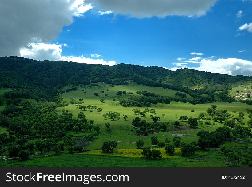 Mountain & Grassland