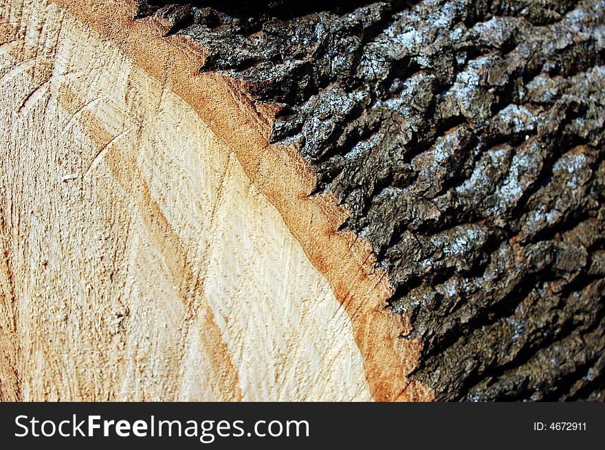 Two parts of textured woods. Two parts of textured woods