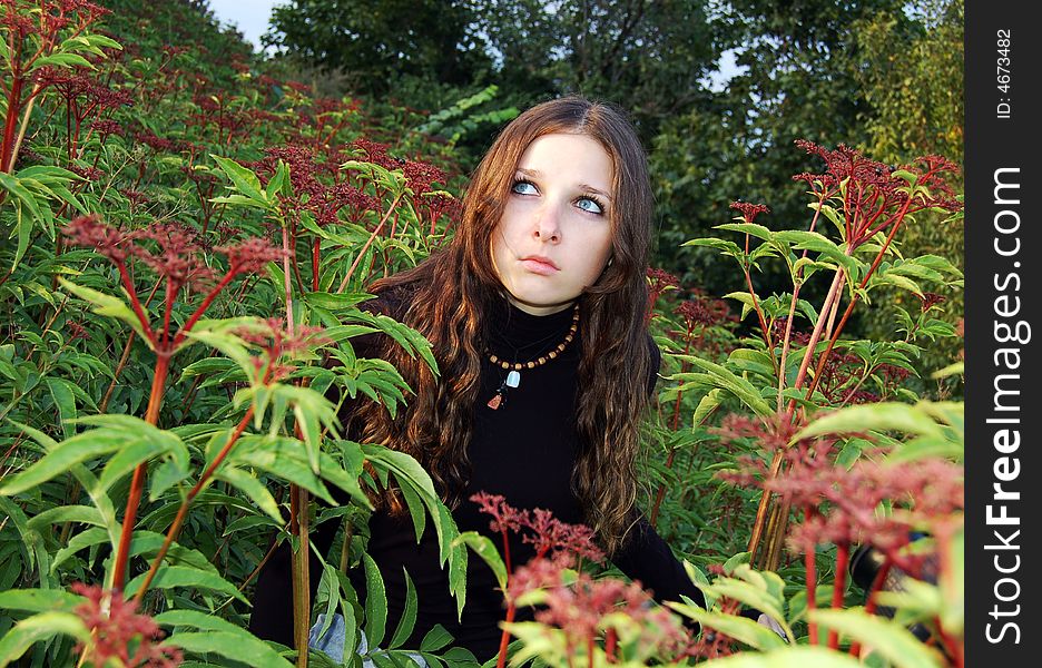 Girl In High Grass