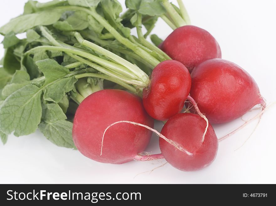 Fresh radishes isolated over white background