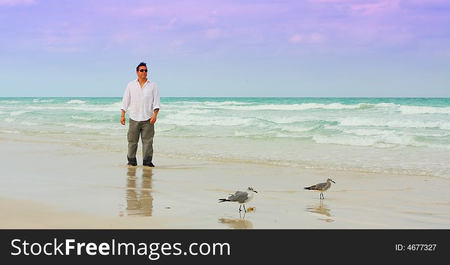 Man standing on the beach alone with two seagulls. Man standing on the beach alone with two seagulls