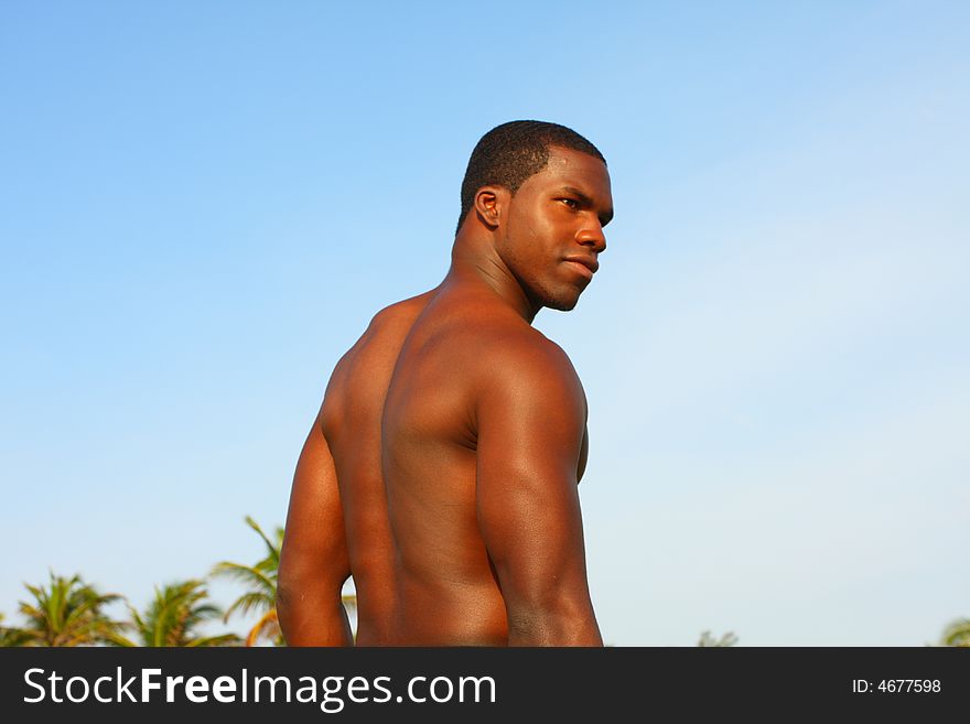 Strong young man with back turned towards the camera. Strong young man with back turned towards the camera.