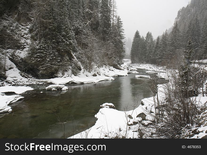 River and fir forest in winter, covered with fresh snow. Scuol, Graubunden, Switzerland. River and fir forest in winter, covered with fresh snow. Scuol, Graubunden, Switzerland