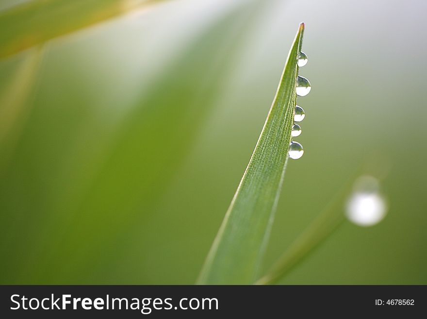 Green straws with water as a background