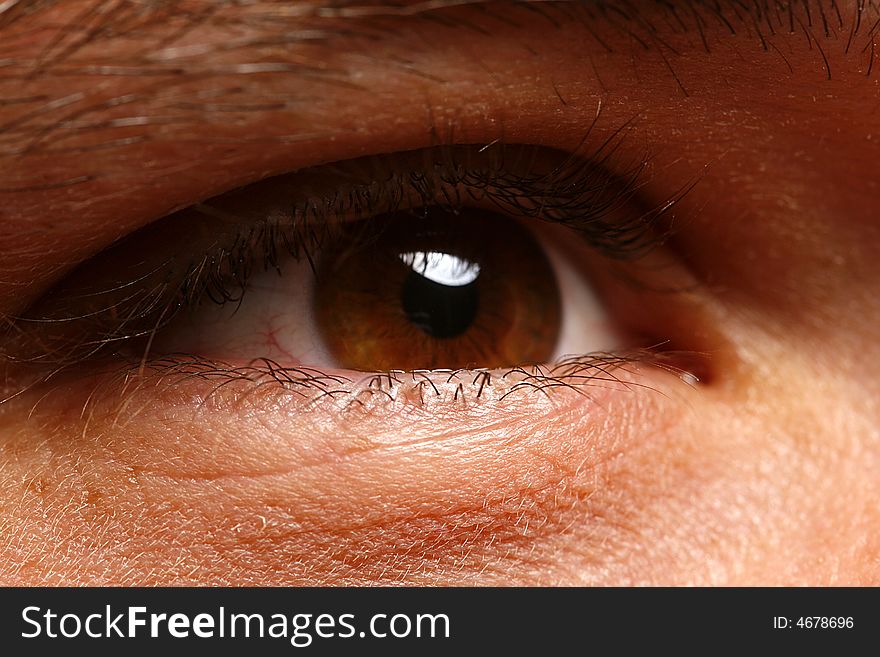 Very sharp and detail macro of eye