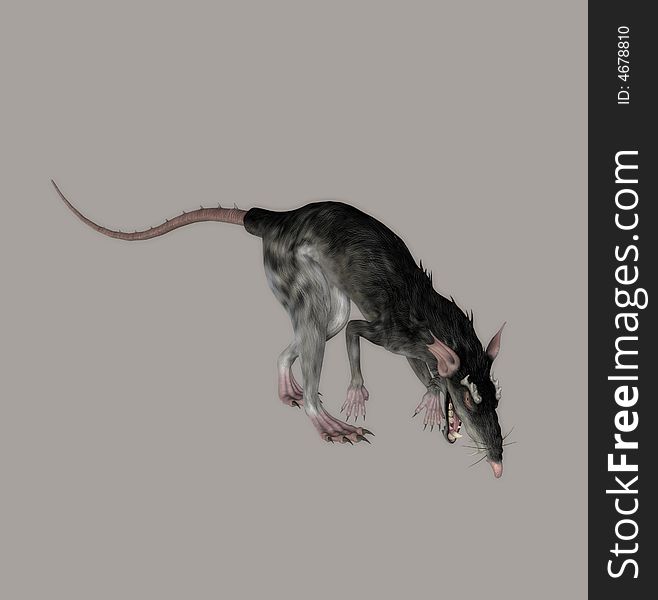 Digital rat for your artistic creations and/or projects. Digital rat for your artistic creations and/or projects