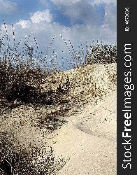 Grass in sand dunes in front of the beach and sea