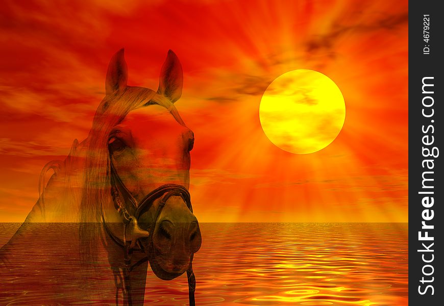 Horse portrait on a colorful sunset landscape. Horse portrait on a colorful sunset landscape