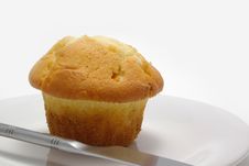 Tasty Muffin Royalty Free Stock Images Tasty Muffin Royalty Free Stock Images