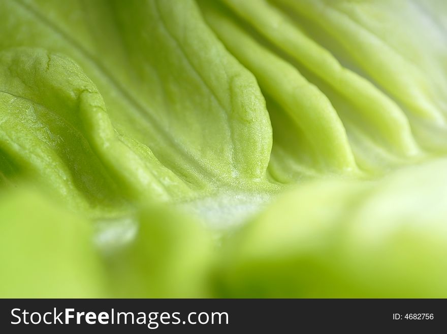 Detail of lettuce, suitable for background. Detail of lettuce, suitable for background