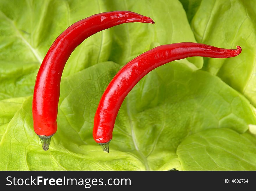 Two peppers and a background of green lettuce. Two peppers and a background of green lettuce