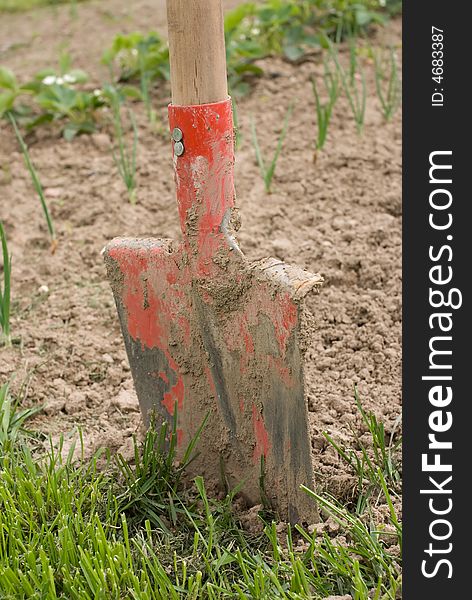 Shovel in the ground - beginning of spring gardening