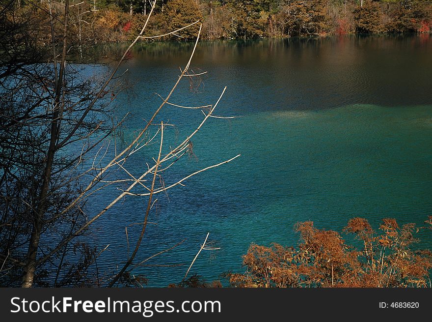 Beautiful autumn lake in jiuzhaigou