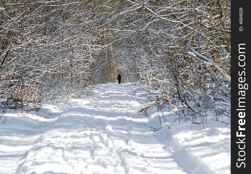 Man walking alone in white snowy forest trail