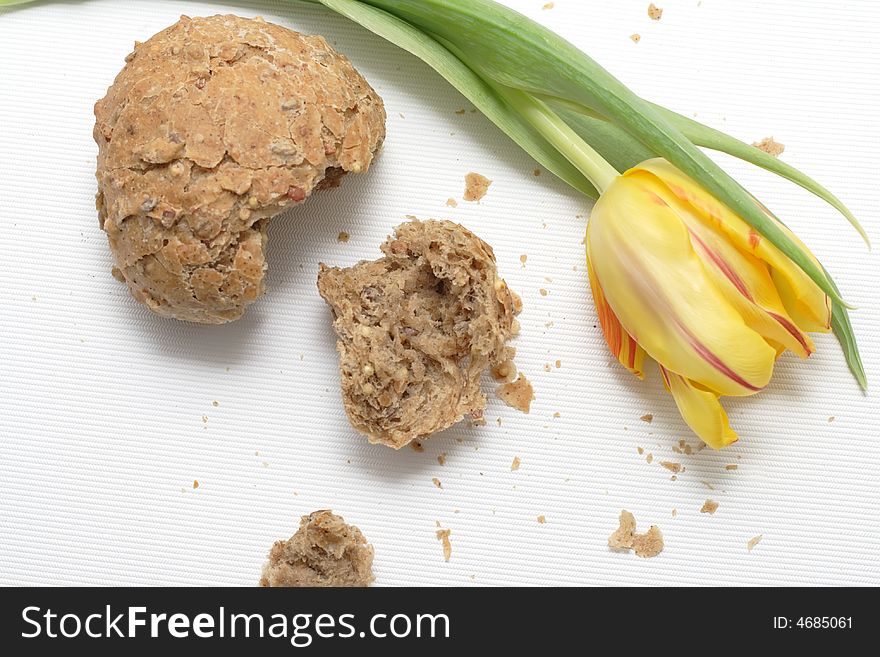 Yellow tulip and a lot of crumbs of bread. Yellow tulip and a lot of crumbs of bread