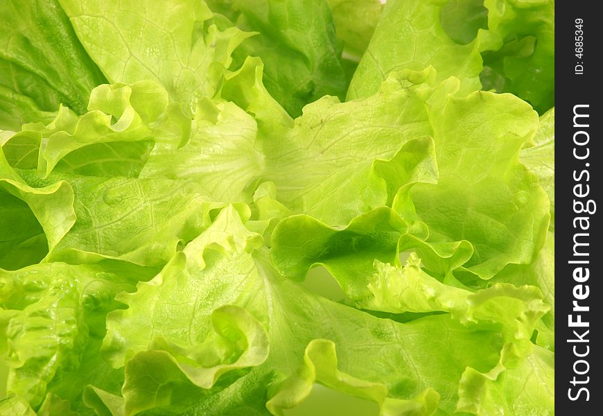 Fresh green leaves of salad a background