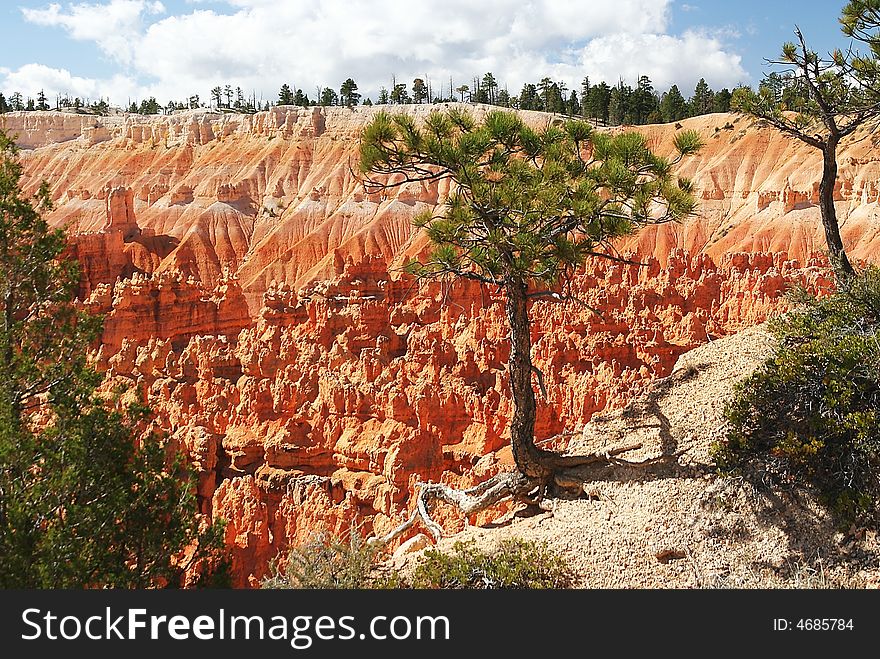 View of bryce canyon national park. View of bryce canyon national park