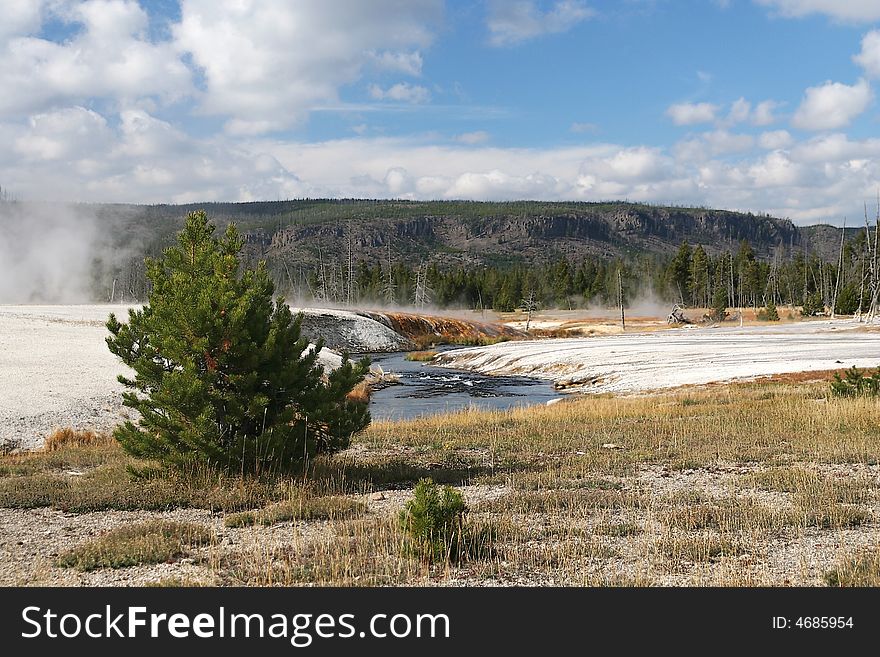 volcanic landscape in Yellowstone NP