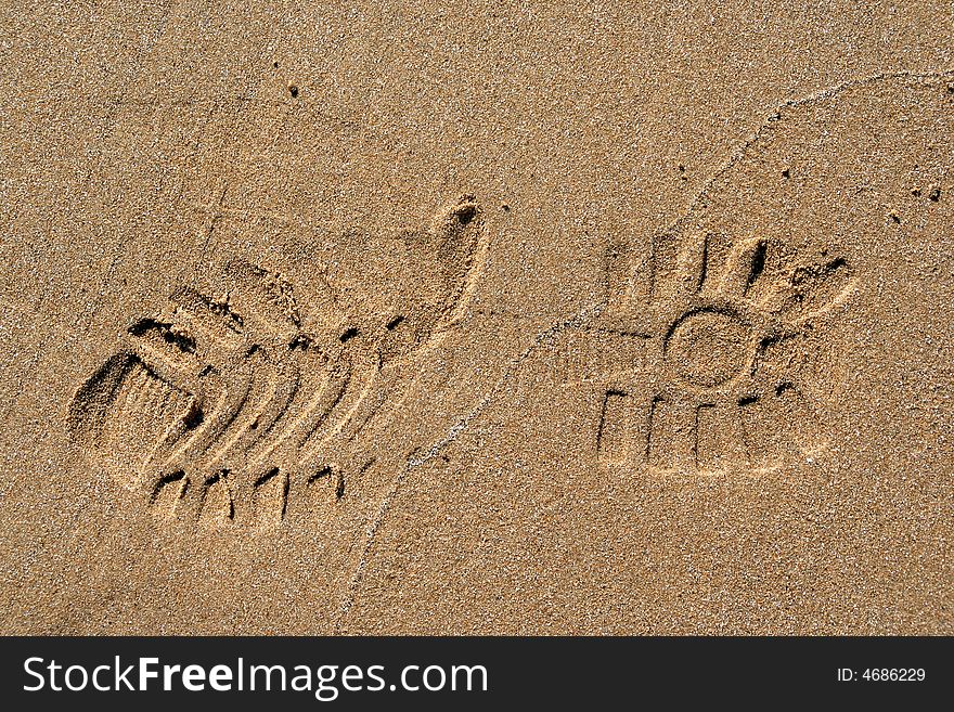 A footprint on a beach