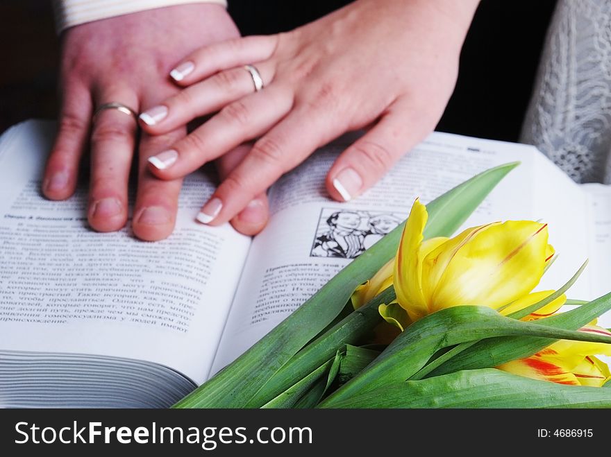Yellow tulips and book and hands with rings