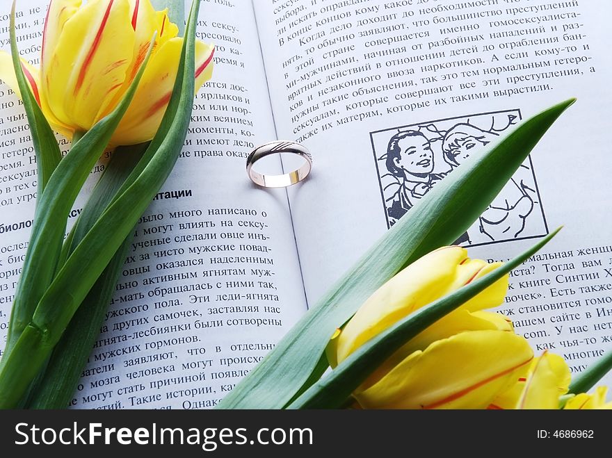 Yellow Tulips And Book