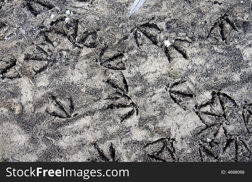 Texture - bird footprints on frozen silt. Texture - bird footprints on frozen silt