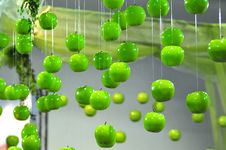 Apple Array Royalty Free Stock Photo Apple Array Royalty Free Stock Photo