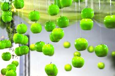 Apple Array Royalty Free Stock Photography Apple Array Royalty Free Stock Photography