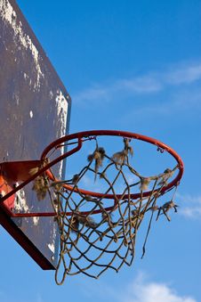 Basketball Royalty Free Stock Images