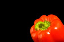 Single Red Bell Pepper Royalty Free Stock Image