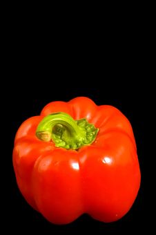 Single Red Bell Pepper Royalty Free Stock Images