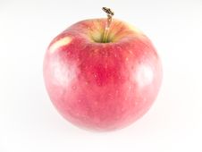 Apple Stock Images Apple Stock Images