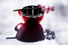 Flowers Spring-Lilo Stock Images Flowers Spring-Lilo Stock Images